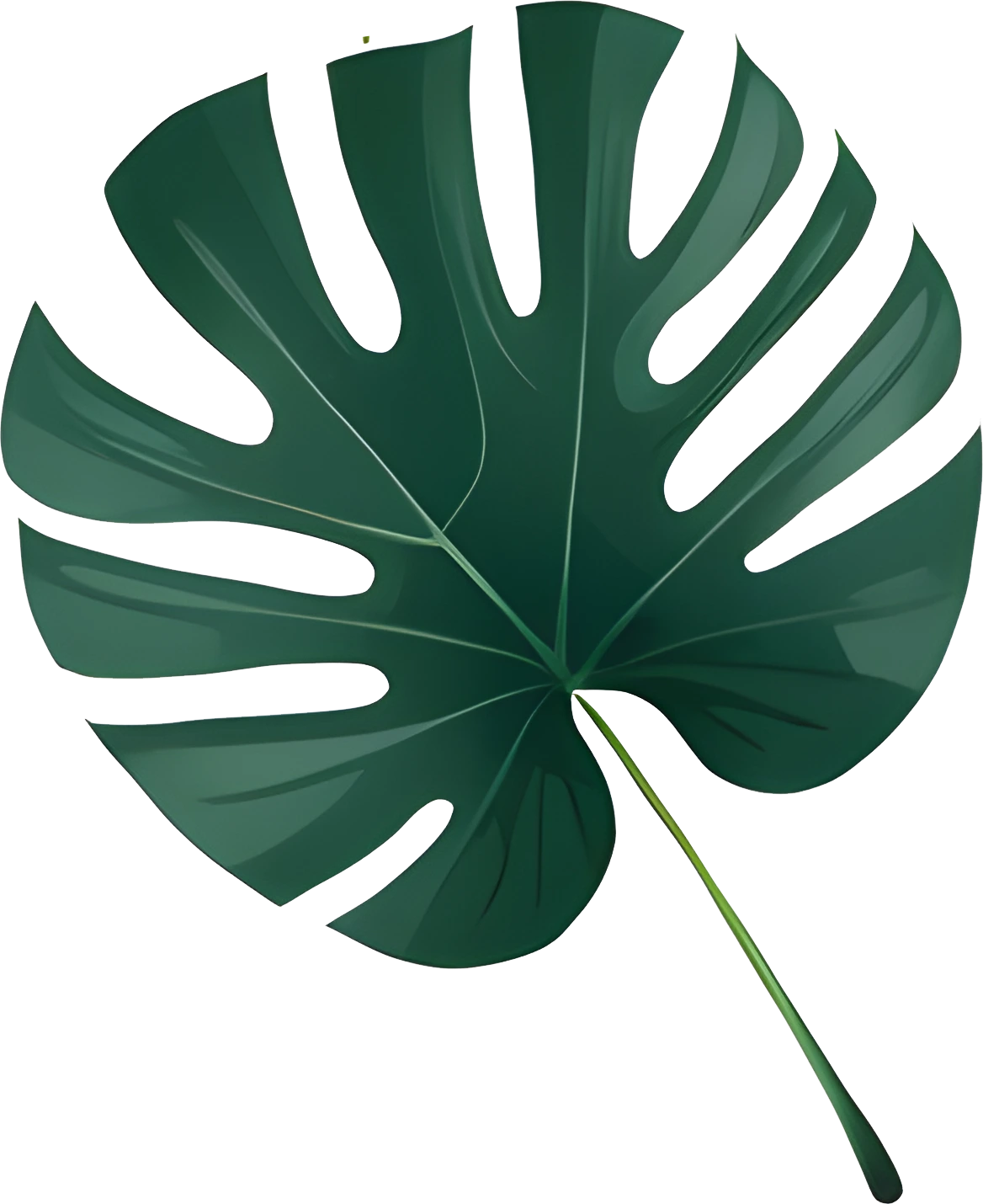 High-Res Leaf PNG Green Foliage Image, Tropical different type exotic leaves set. Jungle plants. Calathea, Monstera and different style of palm leaves_2.webp